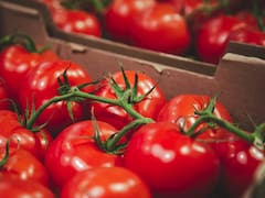 Científicos españoles descubren cómo aprovechar una planta que se acumula en las playas para mejorar el sabor de los tomates