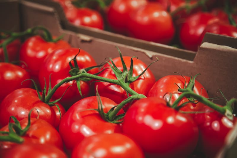 La fábrica de salsa de tomate que concentra toda su producción en solo 70 días al año: factura 777 millones de euros (foto: Freepik)