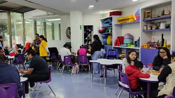 Alianza por la inclusión: Así es como Toyota y Teletón transforman la movilidad tras 11 años de historia