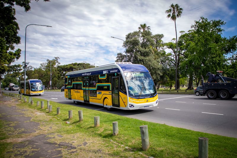 Trambus de Buenos Aires