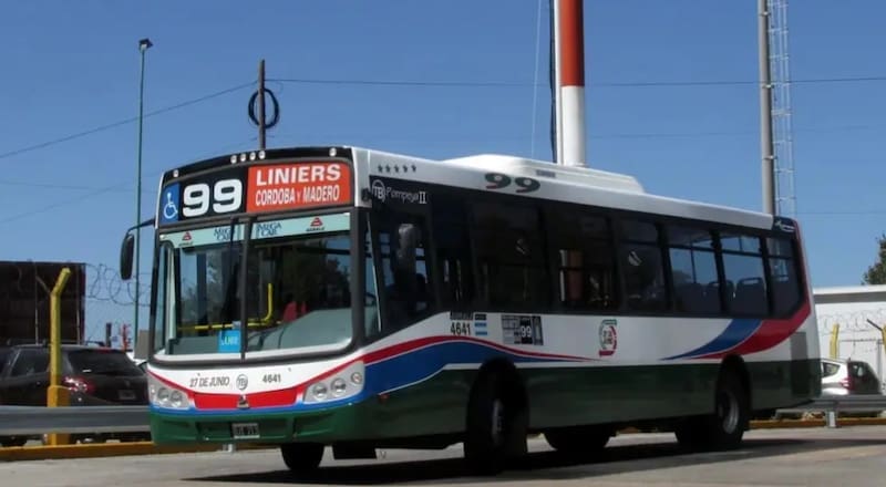 El número que identifica a cada colectivo: para qué sirve el número interno y en qué situaciones conviene anotarlo.