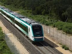 Es oficial | Defensa Nacional tomará el control de todos los trenes y ahora el servicio de transporte público dará un servicio más completo