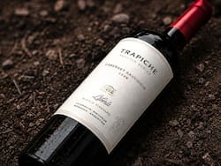 Grupo Peñaflor invertirá u$s 44 millones en una nueva bodega en el corredor del vino premium