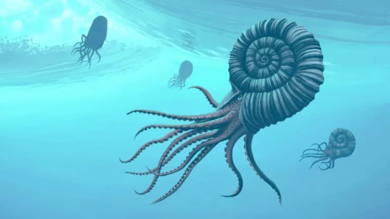 Tras 65 millones de años, descubren un nuevo animal que logró sobrevivir a la desaparición de los dinosaurios. Foto: Copilot IA