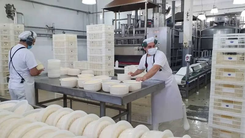 Tras cerrar y pedir la quiebra, reabre una histórica empresa láctea argentina que dejó a 140 trabajadores sin empleo