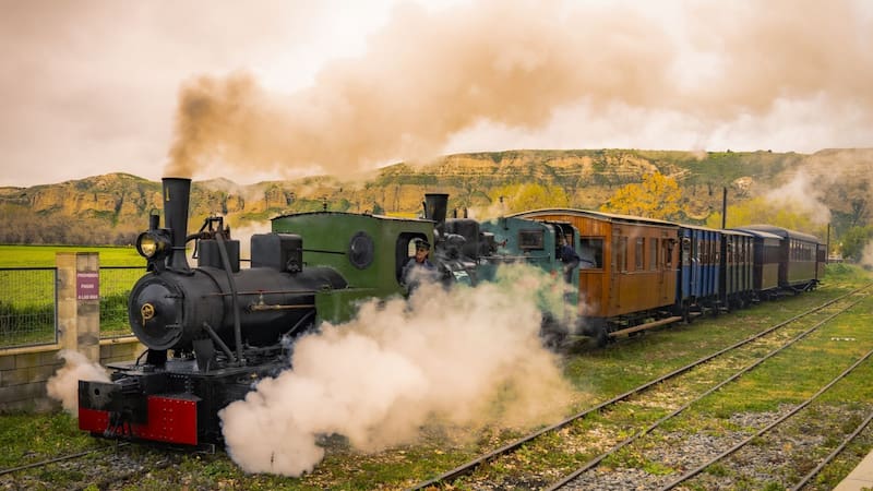 Tras un año de renovación, vuelve un tren histórico que conecta a la Ciudad con un municipio clave desde hace un siglo. Foto: Vapor Madrid