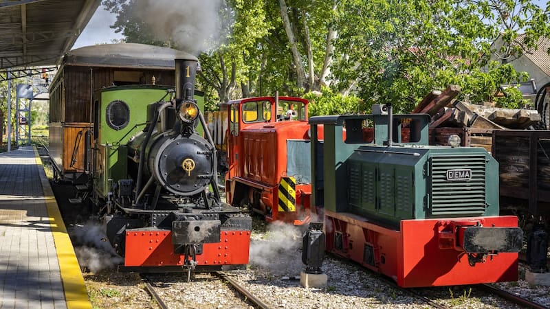 Tras un año de renovación, vuelve un tren histórico que conecta a la Ciudad con un municipio clave desde hace un siglo. Foto: Vapor Madrid