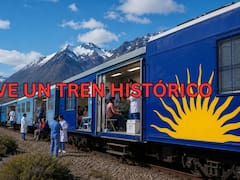 Vuelve un tren histórico: tras años de abandono, recorrerá el país y el servicio será gratuito