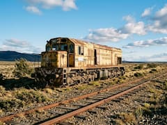 Después de años de descuido, esta provincia recuperará un tren fundamental para la producción y el turismo de la zona