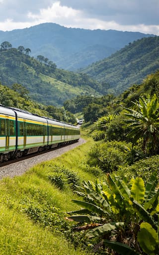 La obra del siglo en Colombia | El tren más esperado está en camino: autorizan la construcción de este proyecto ferroviario clave
