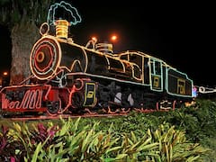 Tren de la Sabana en Navidad 2025: ¿cuánto vale el pasaje, cuál es el recorrido y qué horarios tiene?