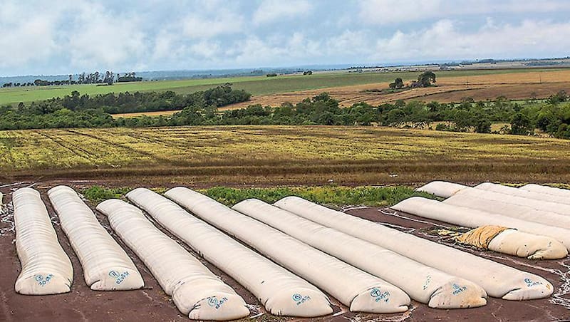 Tres de cada cuatro dólares de exportaciones son originados en la región pampeana