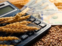 Vuelan los precios en Chicago pero el campo sufre un “desacople” crucial y un problema crítico