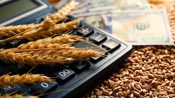 Cierre de Ormuz: vuelan los precios en Chicago pero el campo sufre un “desacople” crucial y un problema crítico