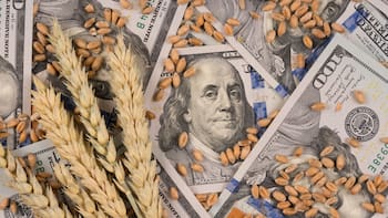 Rindes extraordinarios: los millones de dólares inesperados que entran para pasar el verano