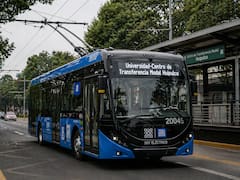 Cambia el trolebús para siempre: recibirá 13 nuevas unidades y circularán en estas líneas