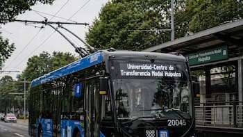 Cambia el trolebús para siempre: recibirá 13 nuevas unidades y circularán en estas líneas