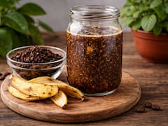 Mezclar café usado con cáscara de banana y agua |Para qué sirve y por qué lo recomiendan