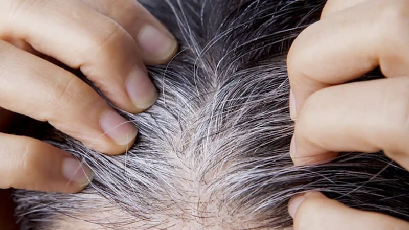 Cómo oscurecer las canas con un shampoo que venden en Walmart.