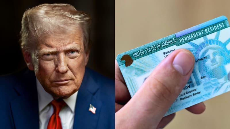 El organismo suspende temporalmente la emisión de green card y de otros permisos para inmigrantes hasta próximo aviso.