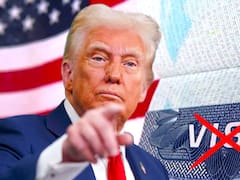 Medida nacional | Estados Unidos revoca visas americanas y ninguno de estos extranjeros podrá volver a pisar el país hasta nuevo aviso