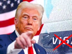 Ya es oficial | Estados Unidos revocará sin excepción las visas americanas de todos los extranjeros que hayan violado esta norma