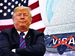 Adiós a la visa en América Latina: Estados Unidos permite el ingreso legal a todos los extranjeros y viajeros que presenten este documento