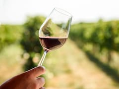 Nuestro sabor en cada copa: El plan del Gobierno para que el vino mexicano conquiste los paladares
