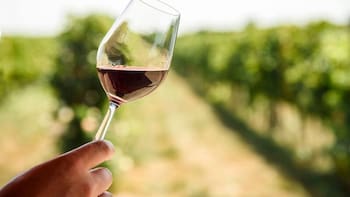 Nuestro sabor en cada copa: El plan del Gobierno para que el vino mexicano conquiste los paladares