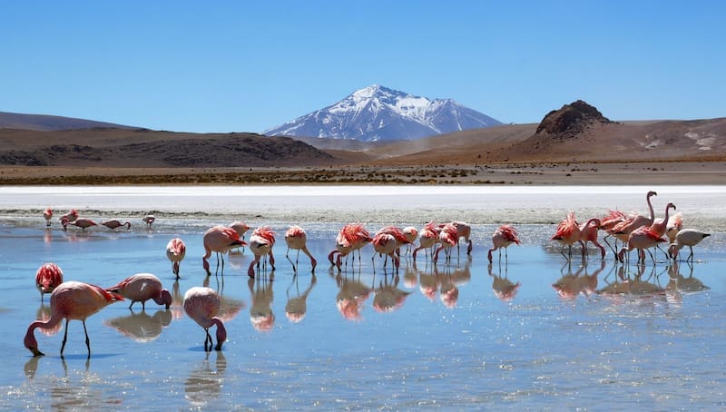 No es Dubái: aquí los rascacielos son de cristal, pero no hay turistas y el transporte es gratuito (foto: Pexels).