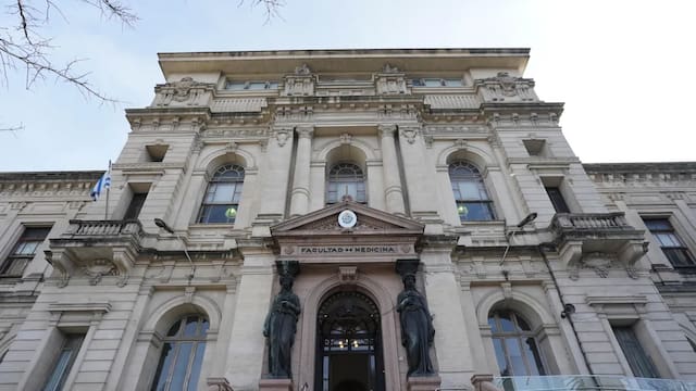 Udelar pide US$100 millones en la Rendición de Cuentas para becas, obras y salarios