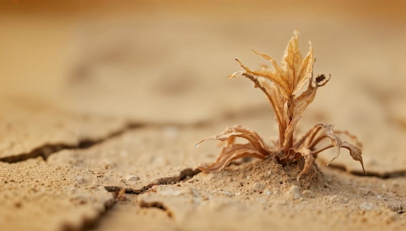 La guerra por el agua ya estalló: Estados Unidos exige a México entregar su recurso más preciado y pueden llegar las peores sequías (foto: archivo).