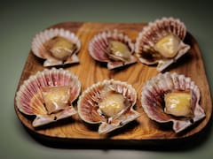 Ultramarinos: el mar que nos debíamos