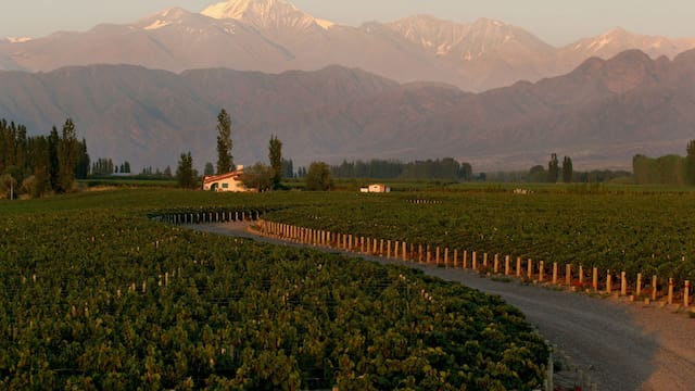 Un agricultor busca construir una casa para su hijo en la finca y la Justicia lo prohíbe: el Tribunal Supremo explica el motivo