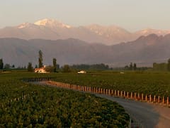 Un agricultor intenta construir una casa para su hijo en la finca y la Justicia lo prohíbe: el Tribunal Supremo explica el motivo