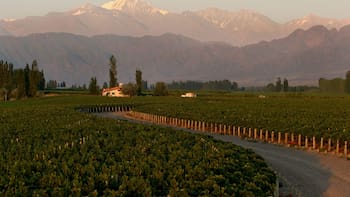 Un agricultor intenta construir una casa para su hijo en la finca y la Justicia lo prohíbe: el Tribunal Supremo explica el motivo