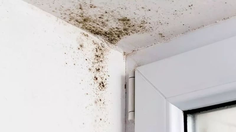 Un arquitecto explicó un método casero para comprobar si una pared presenta humedad y distinguir, de manera orientativa, si el problema puede estar relacionado con condensación o con el propio muro.