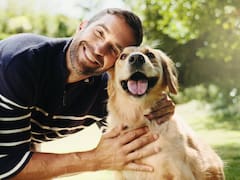 El cerebro de los perros “entiende” las palabras con un mecanismo similar al de los seres humanos, según un estudio europeo