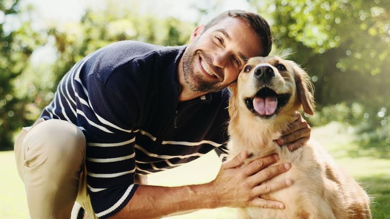 Un estudio científico investigó cómo los perros "interpretan" las palabras y descubrieron que aplican un mecanismo similar al de los humanos. Fuente: Shutterstock