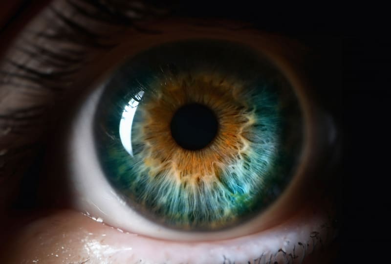 Un estudio científico reveló que la retina podría dar señales tempranas de inicios de Alzheimer. (Foto: Archivo)