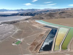 El nuevo sector estrella: la producción trepó 60% y entra al podio de principales exportaciones