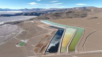 El nuevo sector estrella: la producción trepó 60% y entra al podio de principales exportaciones