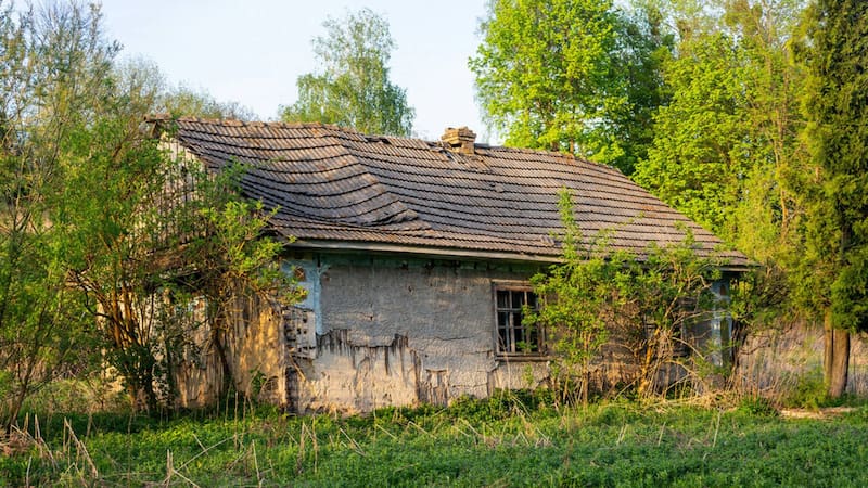 Un matrimonio quiso vivir solo con paneles solares, agua de pozo y el Gobierno decidió quitarle a sus hijos