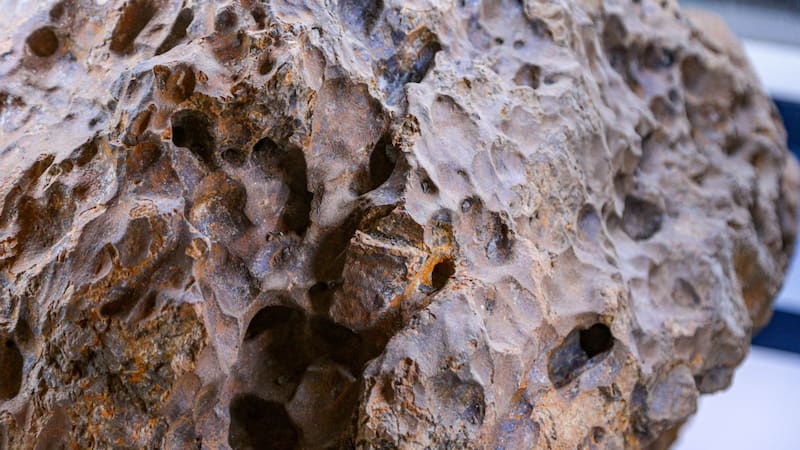 Un pedazo de la Luna cayó en África y resolvió una pregunta que ni Apolo ni Artemis habían podido responder
Fuente: Shutterstock