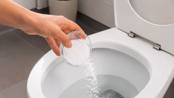 Poner sal en el inodoro: para qué sirve y por qué cada vez más personas lo hacen para eliminar el mal olor