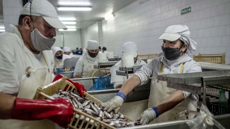 Una famosa fábrica de enlatados en Buenos Aires cerró y se despide de la provincia. Foto: MINGA