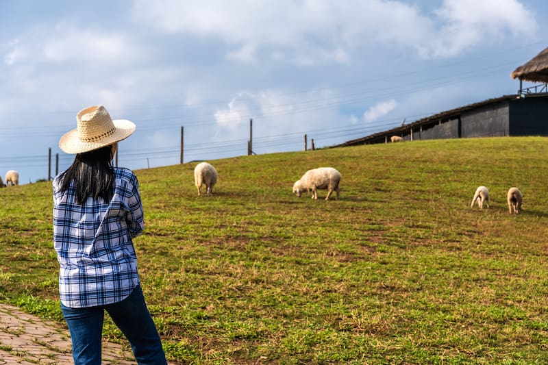 Una pastora de León: "Puedes cerrar una frutería o un bar, pero yo no puedo dejar a los animales"