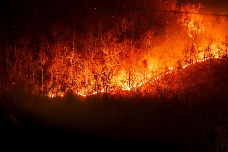 Los organismos de socorro trabajan para controlar los incendios forestales que afectan diferentes municipios del Tolima. (Fuente: Shutterstock)