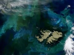 El Reino Unido anunció nuevas medidas para blindar empresas que operan en Malvinas: “No permaneceremos impasibles”