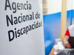 ¿Nuevo ajuste en discapacidad?: el Gobierno analiza el traspaso a provincias de coberturas clave